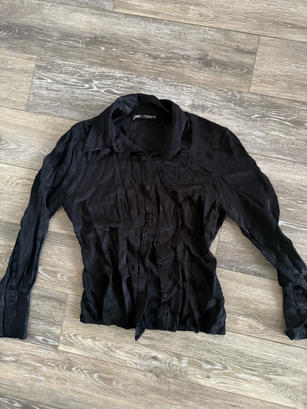 Zara Black Sheer Long-Sleeve Button-Down Shirt